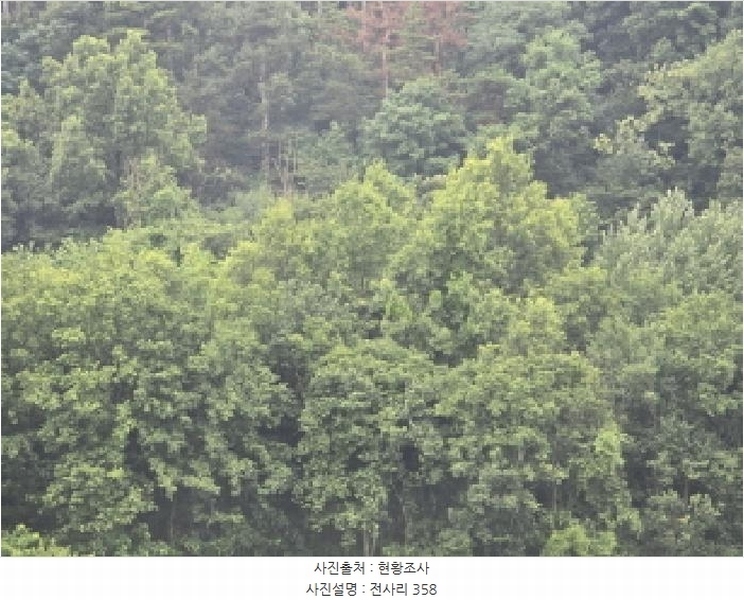 2025타경890 경상북도 영천시 고경면 전사리 358 농지 경매 이미지