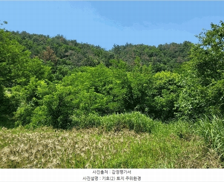 2025타경890 경상북도 영천시 고경면 전사리 358 농지 경매 이미지