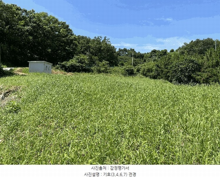 2024타경569746 인천광역시 중구 덕교동 476 농지 경매 이미지