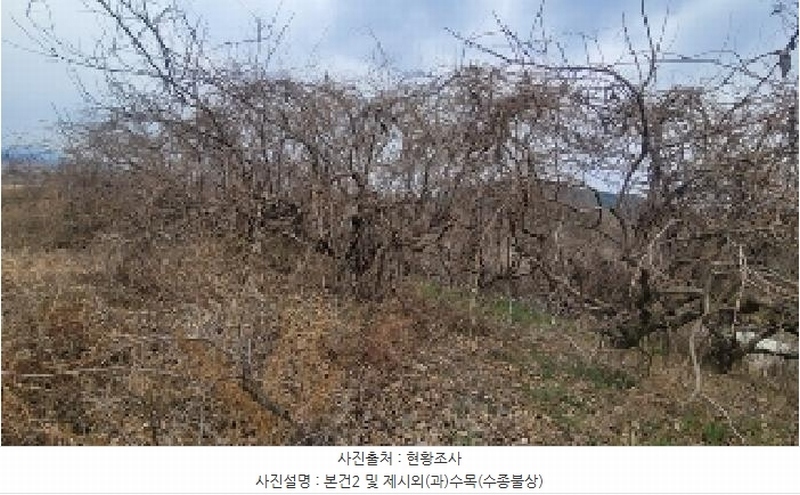 2025타경20419 경상남도 함안군 칠북면 덕남리 1192 농지 경매 이미지