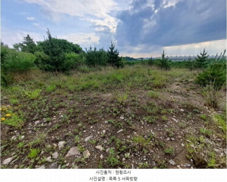 2025타경670 충청남도 당진시 송산면 가곡리 377-3 임야 경매 이미지