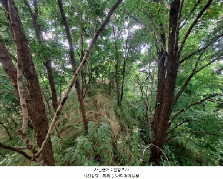2025타경670 충청남도 당진시 송산면 가곡리 377-3 임야 경매 이미지