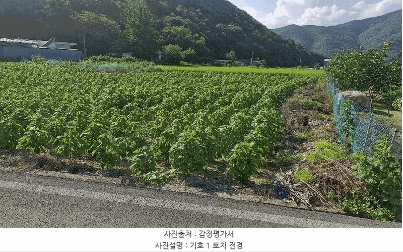 2025타경10638 경상북도 경주시 산내면 신원리 747 농지 경매 이미지