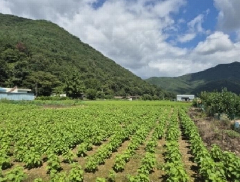 2025타경10638 경상북도 경주시 산내면 신원리 747 농지 경매 이미지