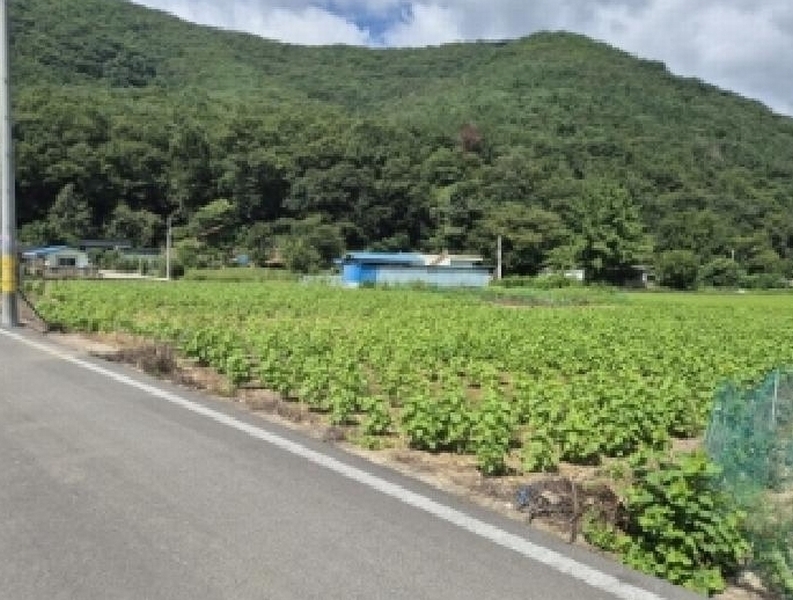 2025타경10638 경상북도 경주시 산내면 신원리 747 농지 경매 이미지