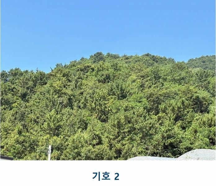 2025타경557 전라남도 고흥군 남양면 월정리 466 농지 경매 이미지