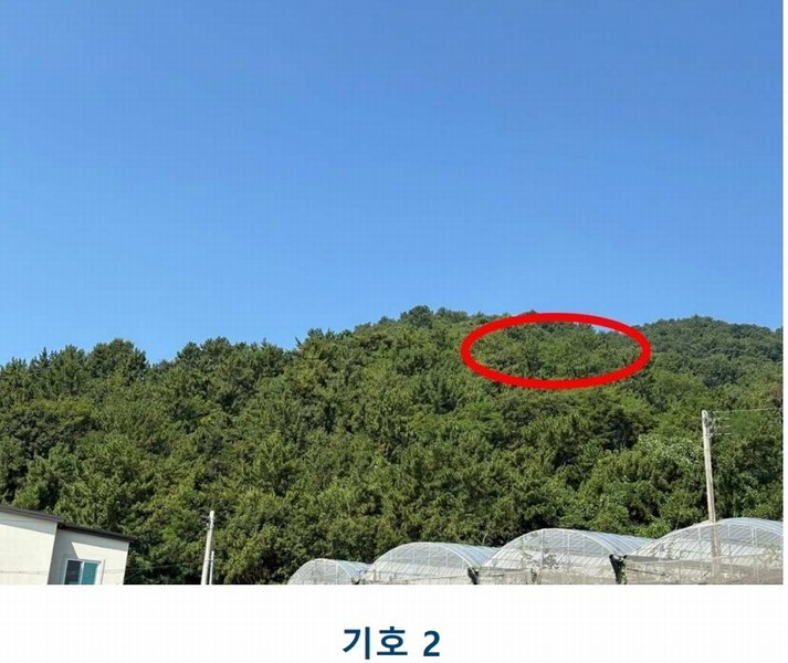 2025타경557 전라남도 고흥군 남양면 월정리 466 농지 경매 이미지