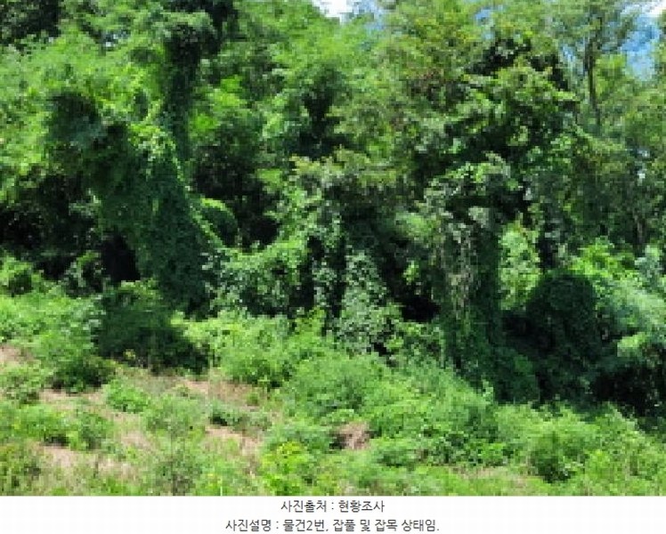 2025타경557 전라남도 고흥군 남양면 월정리 466 농지 경매 이미지