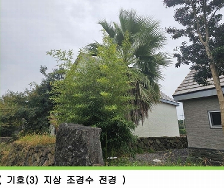 2025타경251 제주특별자치도 제주시 한경면 조수리 270-6 주택 경매 이미지