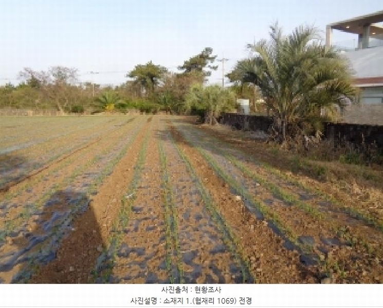 2025타경1925 제주특별자치도 제주시 한림읍 협재리 1069 대지 경매 이미지