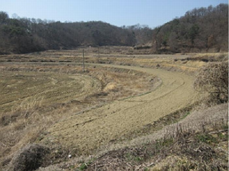 2025타경127 경상북도 예천군 보문면 간방리 774-2 농지 경매 이미지