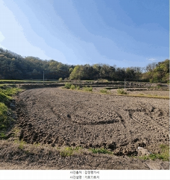 2025타경127 경상북도 예천군 보문면 간방리 774-2 농지 경매 이미지