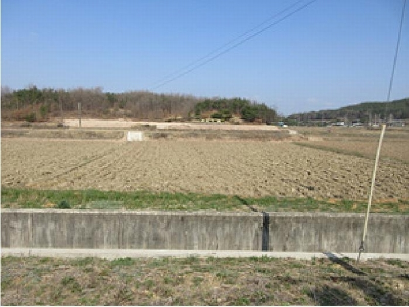 2025타경137 경상북도 예천군 호명읍 송곡리 303-2 농지 경매 이미지