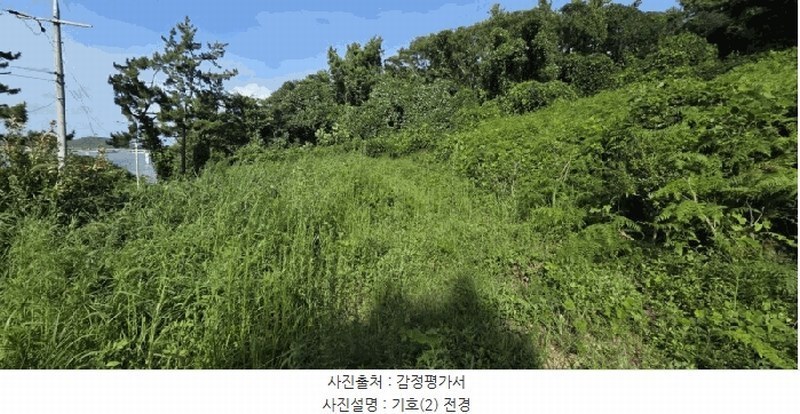 2025타경461 전라남도 신안군 암태면 오상리 920-3 농지 경매 이미지