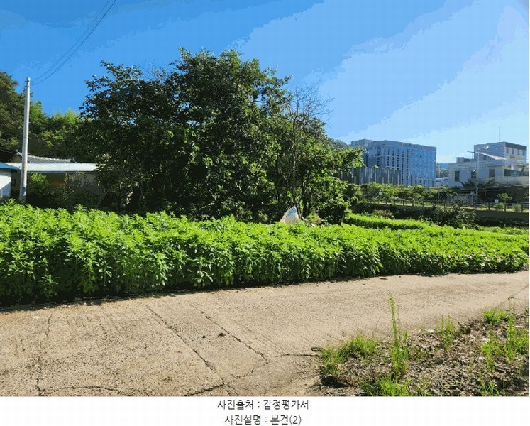 2025타경51266 전라남도 목포시 옥암동 8-2 대지 경매 이미지