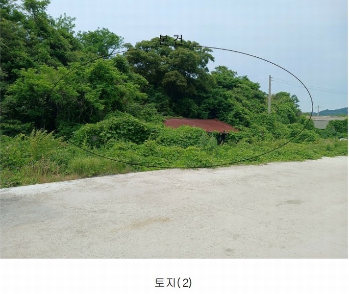2025타경51607 전라남도 신안군 임자면 삼두리 883-1 대지 경매 이미지