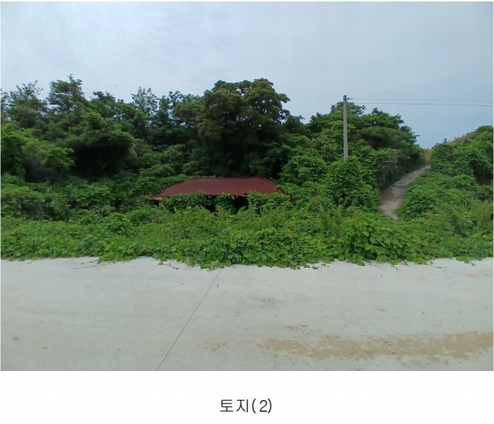 2025타경51607 전라남도 신안군 임자면 삼두리 883-1 대지 경매 이미지