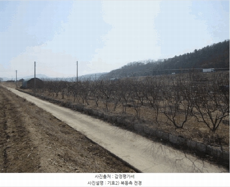 2025타경10131 대구광역시 군위군 군위읍 사직리 343-3 농지 경매 이미지