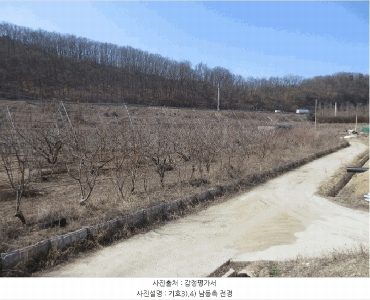 2025타경10131 대구광역시 군위군 군위읍 사직리 343-3 농지 경매 이미지