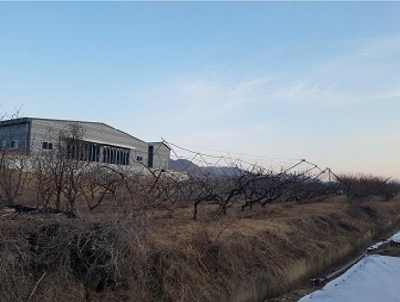 2025타경10131 대구광역시 군위군 군위읍 사직리 343-3 농지 경매 이미지
