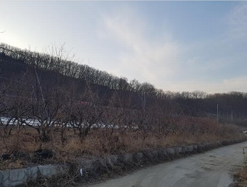 2025타경10131 대구광역시 군위군 군위읍 사직리 343-3 농지 경매 이미지