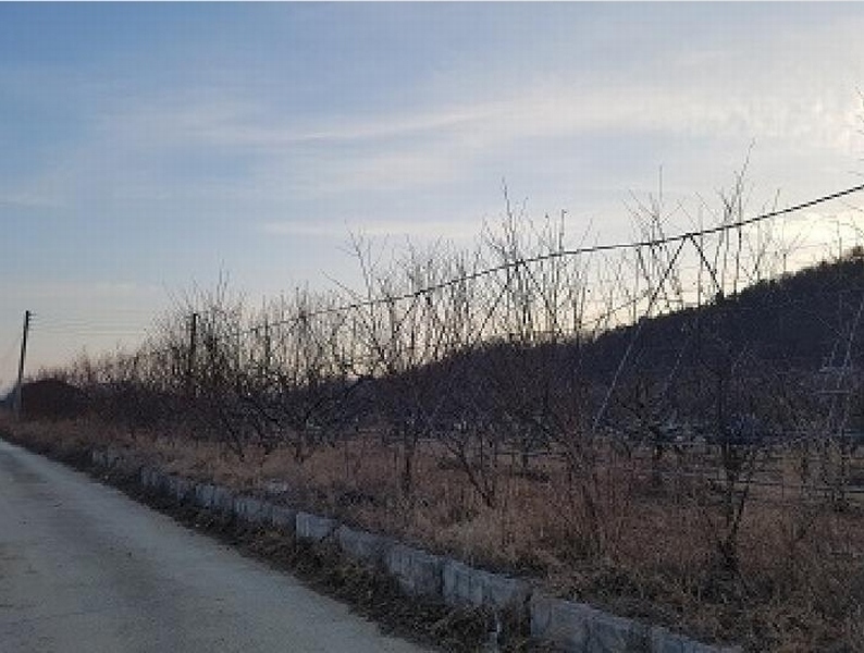 2025타경10131 대구광역시 군위군 군위읍 사직리 343-3 농지 경매 이미지
