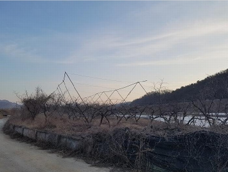 2025타경10131 대구광역시 군위군 군위읍 사직리 343-3 농지 경매 이미지