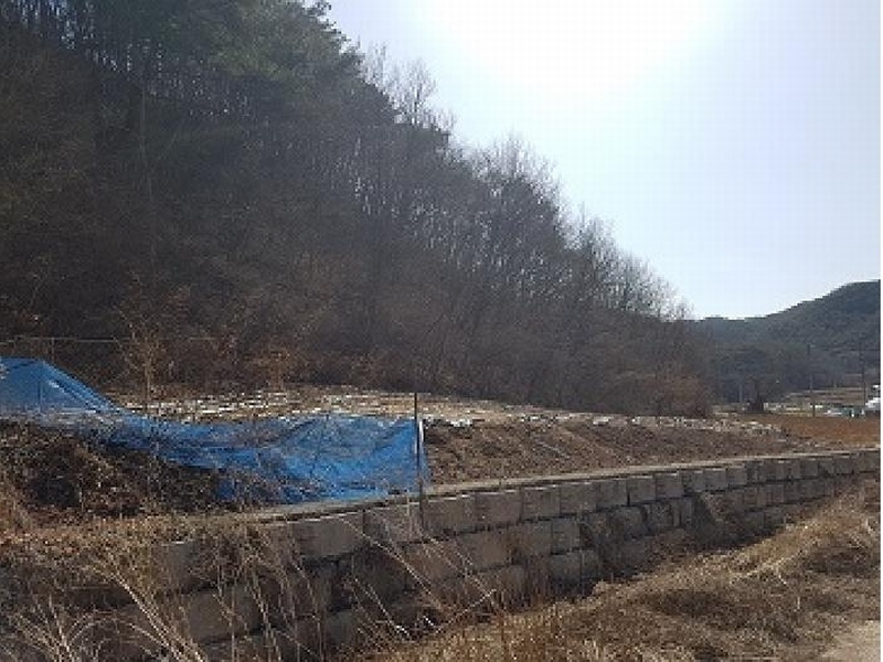 2025타경10137 경상북도 의성군 사곡면 매곡리 25 농지 경매 이미지