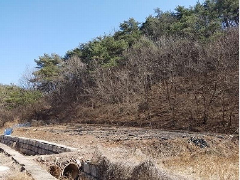 2025타경10137 경상북도 의성군 사곡면 매곡리 25 농지 경매 이미지