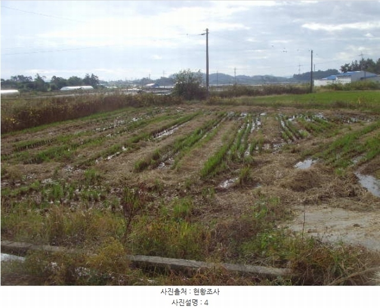 2024타경54532 전라남도 해남군 문내면 예락리 1147 농지 경매 이미지