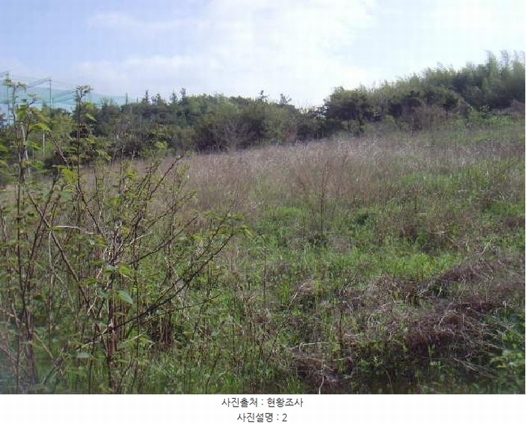 2025타경945 전라남도 해남군 마산면 상등리 224-15 농지 경매 이미지