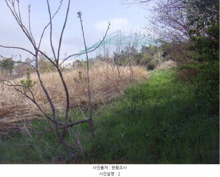 2025타경945 전라남도 해남군 마산면 상등리 224-15 농지 경매 이미지