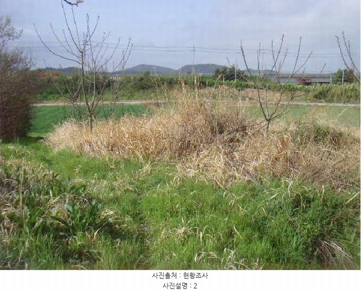 2025타경945 전라남도 해남군 마산면 상등리 224-15 농지 경매 이미지