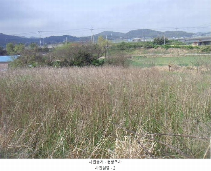 2025타경945 전라남도 해남군 마산면 상등리 224-15 농지 경매 이미지