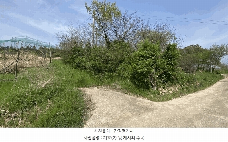 2025타경945 전라남도 해남군 마산면 상등리 224-15 농지 경매 이미지