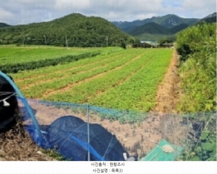 2025타경50503 전라남도 해남군 송지면 마봉리 475-2 농지 경매 이미지