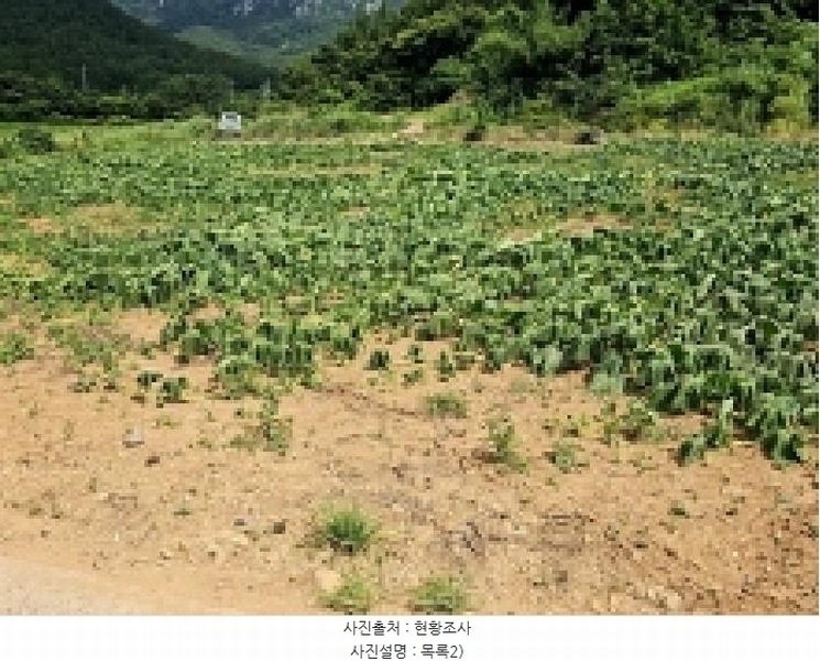 2025타경50503 전라남도 해남군 송지면 마봉리 228 농지 경매 이미지