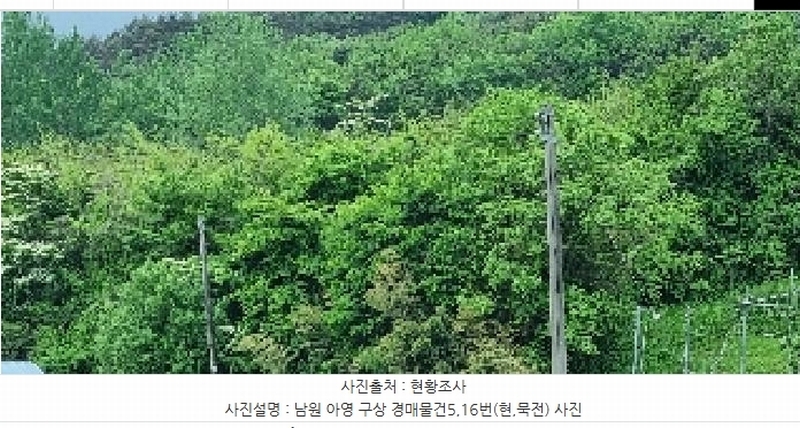 2025타경30169 전북특별자치도 남원시 아영면 구상리 649 농지 경매 이미지
