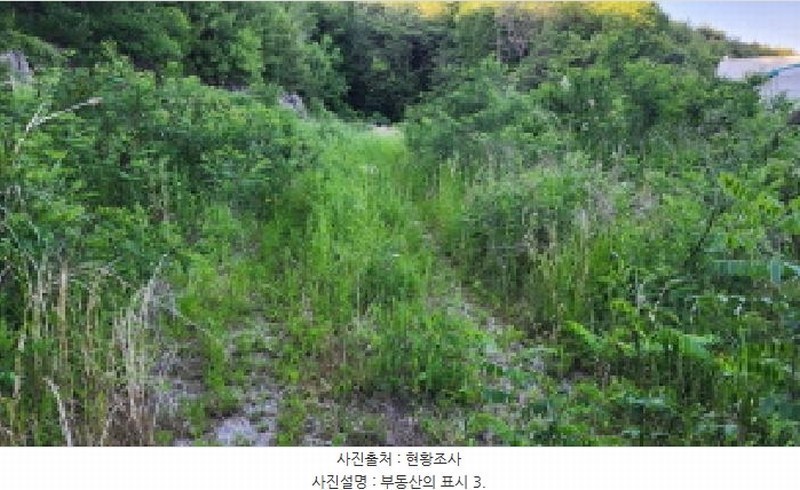 2025타경11870 울산광역시 울주군 삼동면 하잠리 1223-7 임야 경매 이미지