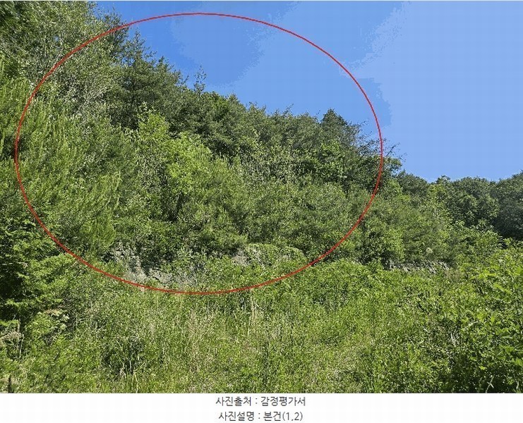 2025타경11870 울산광역시 울주군 삼동면 하잠리 1223-7 임야 경매 이미지