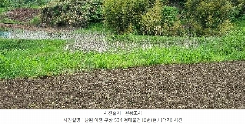 2025타경30169 전북특별자치도 남원시 아영면 구상리 534 대지 경매 이미지