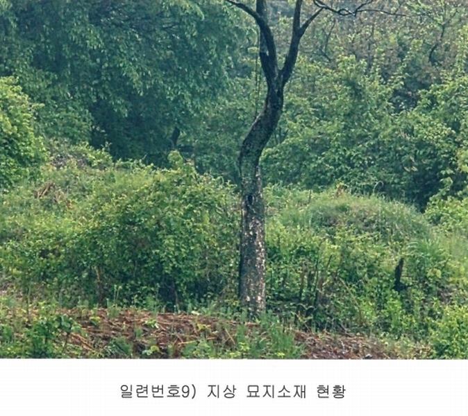 2025타경30169 전북특별자치도 남원시 아영면 구상리 572 농지 경매 이미지