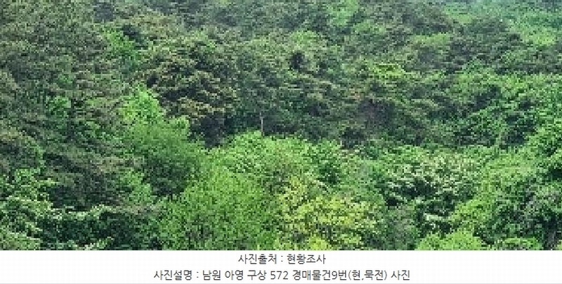 2025타경30169 전북특별자치도 남원시 아영면 구상리 572 농지 경매 이미지