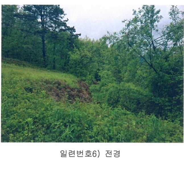 2025타경30169 전북특별자치도 남원시 아영면 구상리 655-1 농지 경매 이미지