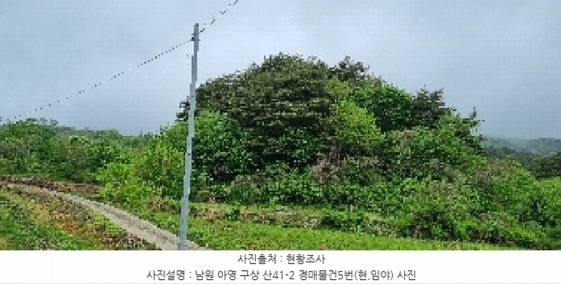 2025타경30169 전북특별자치도 남원시 아영면 구상리 산41-2 임야 경매 이미지