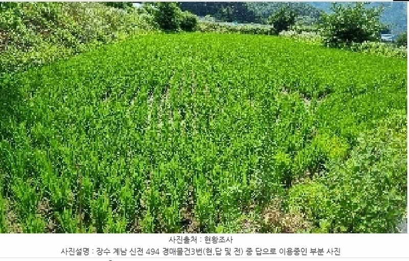 2025타경30195 전북특별자치도 장수군 계남면 신전리 494 농지 경매 이미지