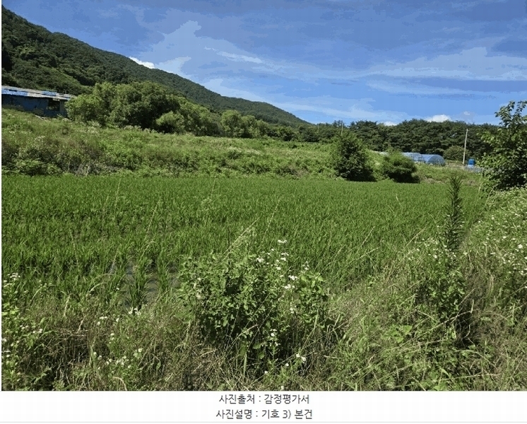 2025타경30195 전북특별자치도 장수군 계남면 신전리 494 농지 경매 이미지