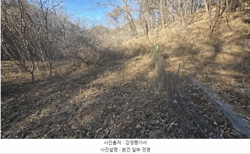 2026타경75 경상남도 진주시 일반성면 창촌리 14 농지 경매 이미지