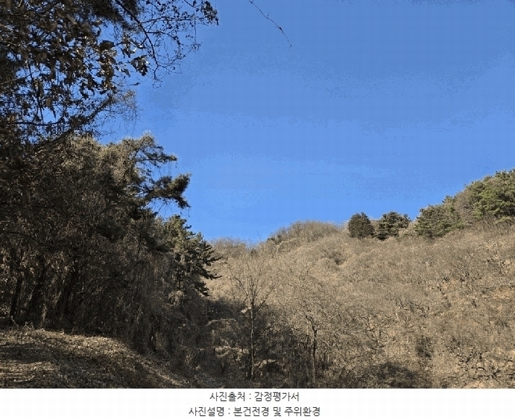 2026타경10176 경상남도 창원시 의창구 북면 상천리 산42-1 임야 경매 이미지