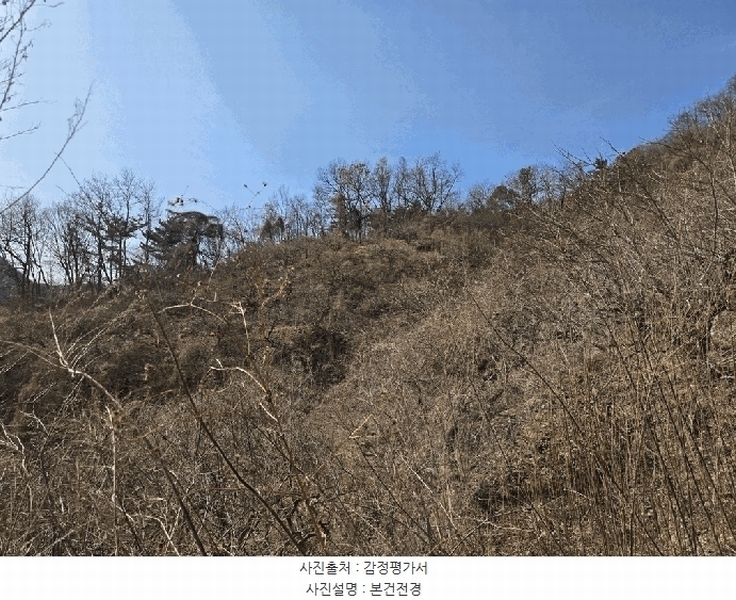 2026타경10176 경상남도 창원시 의창구 북면 상천리 산42-1 임야 경매 이미지
